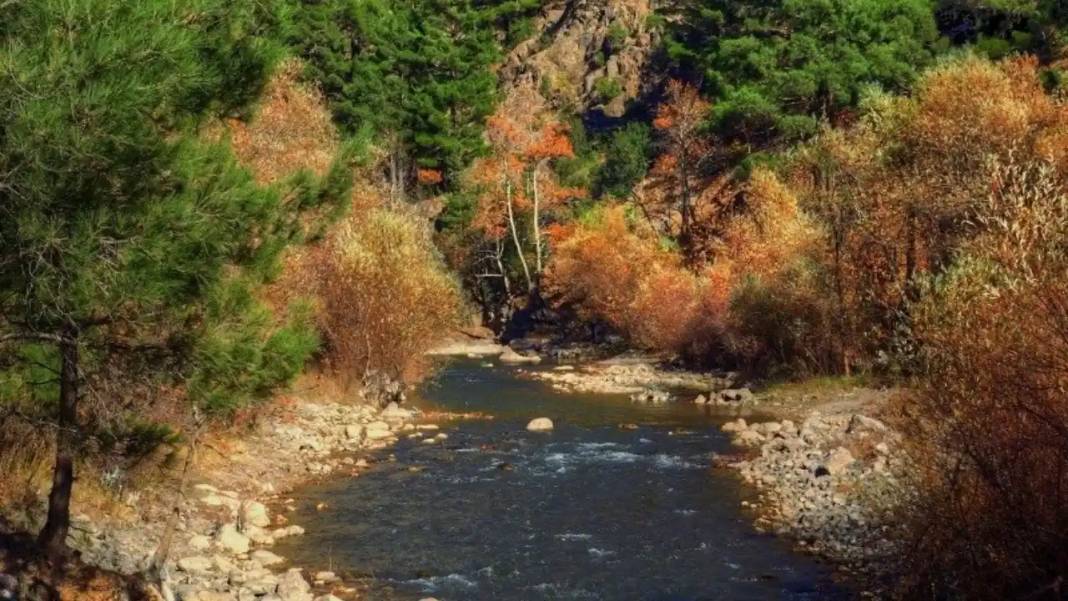 Asırlık Çınarların Altında Masal Diyarı: Adana'da 'Zamanın Durduğu Yer' 6